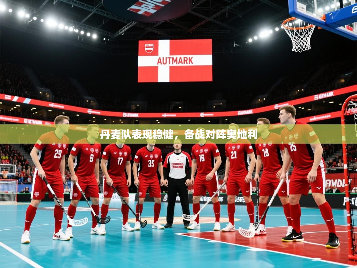 丹麦队表现稳健，备战对阵奥地利
